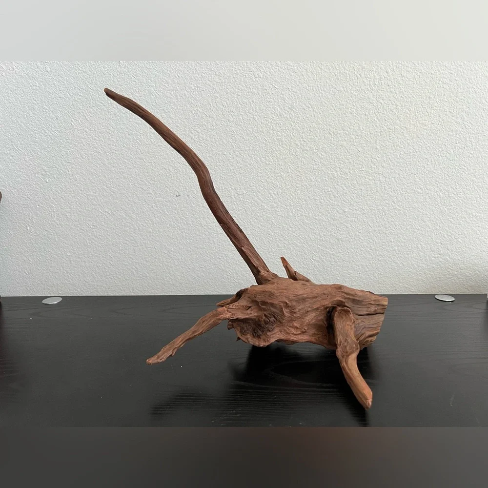 Natural Driftwood Sculpture